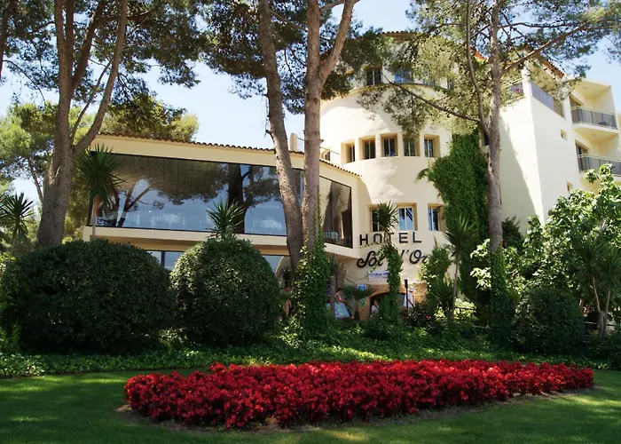 Hotel Best Sol D'Or